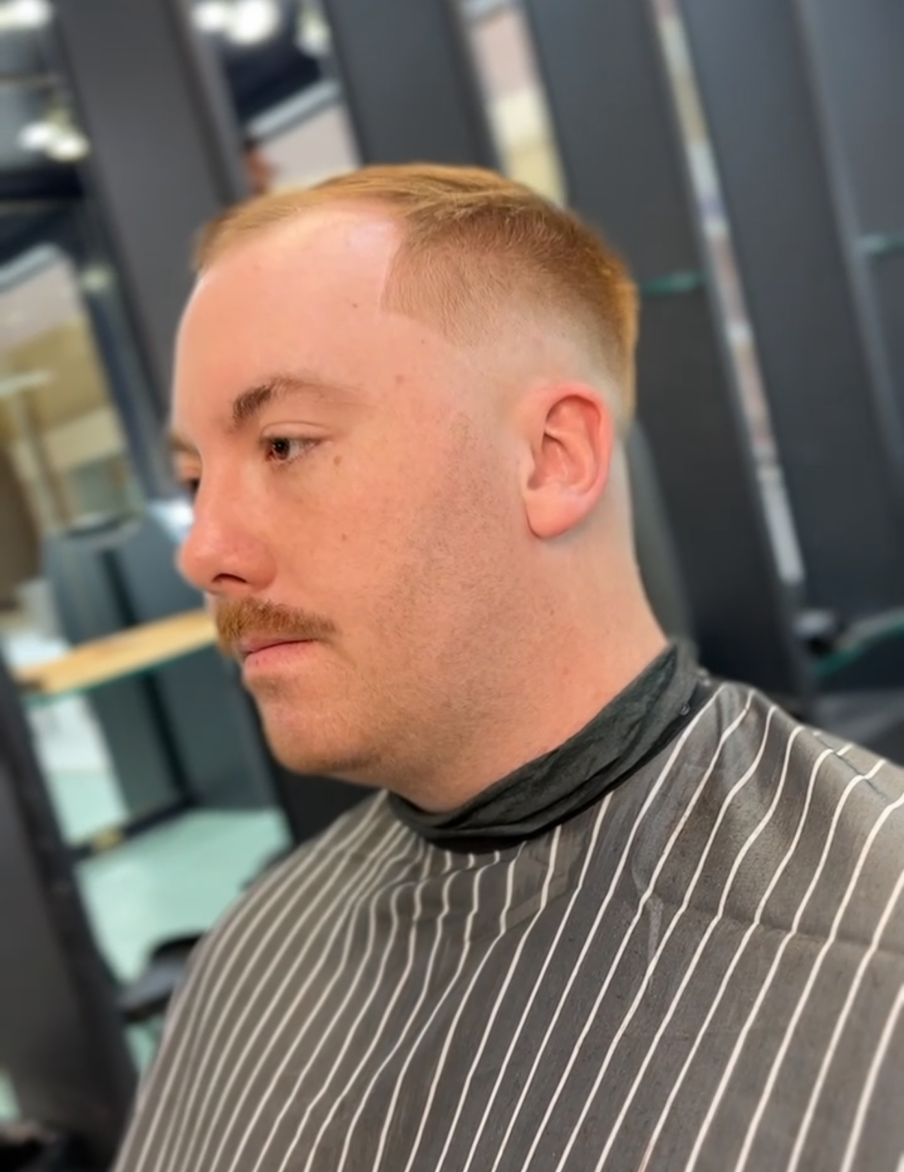 Curly top with a clean low fade